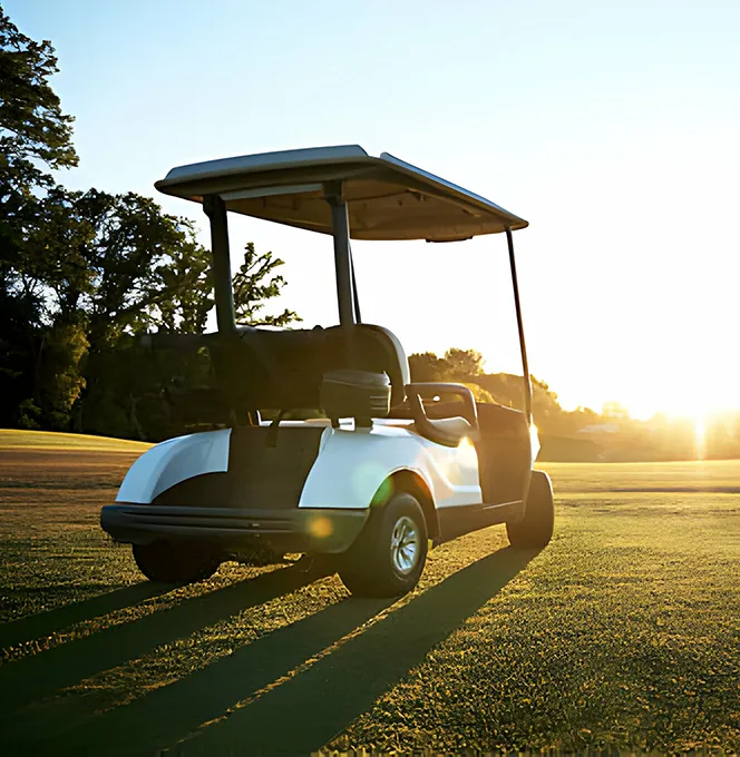best golf cart battery
